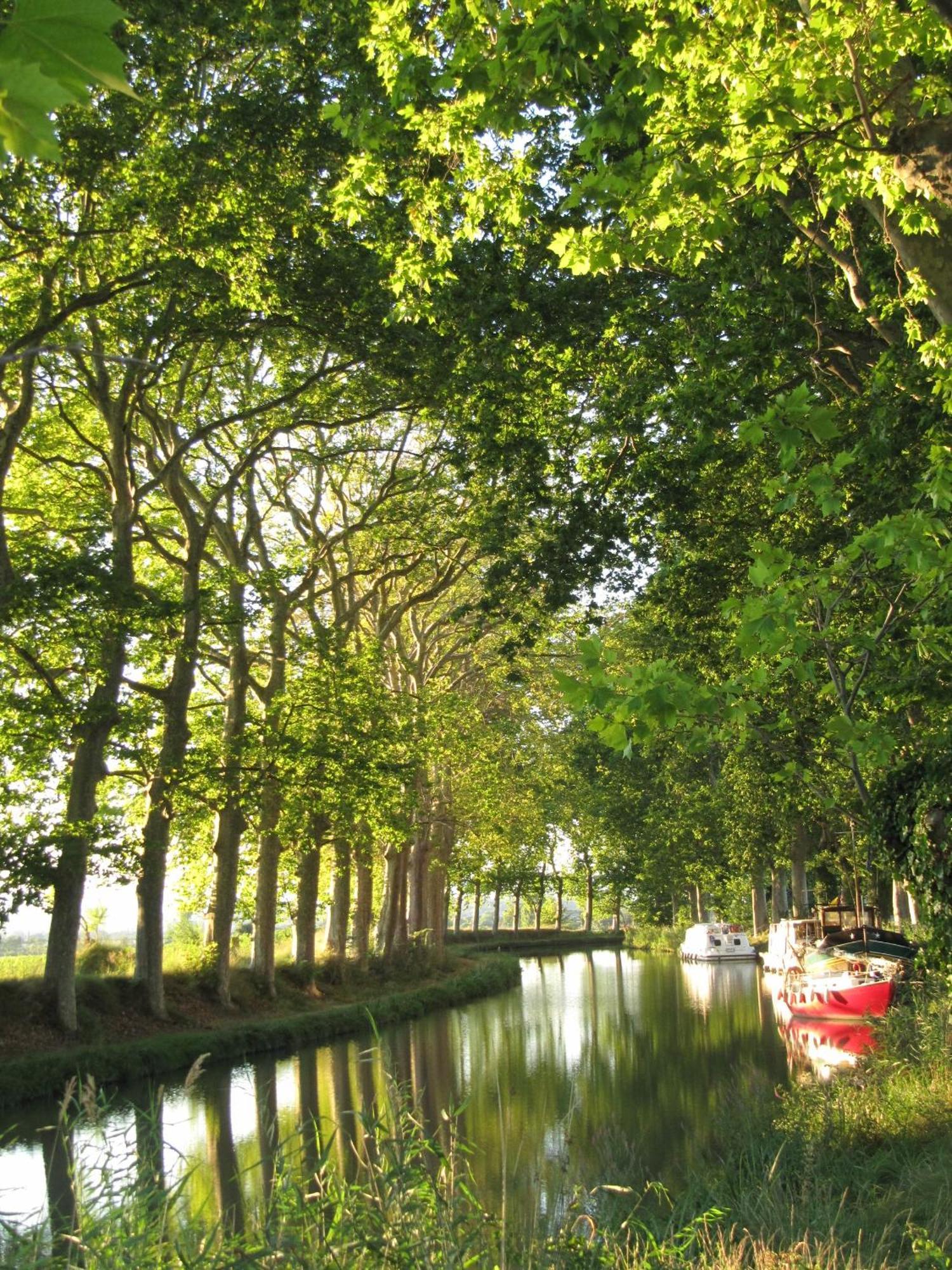 Chez Pauline & Vincent Cote Canal Carcassonne Exterior foto